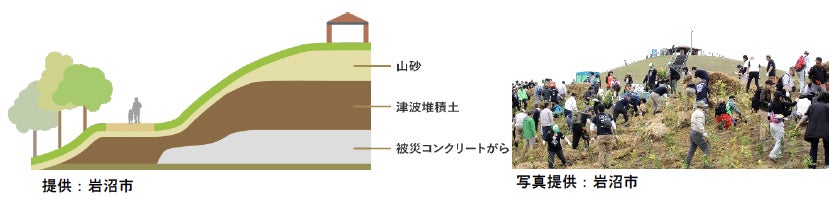 景観や自然環境に配慮した堤防デザイン例（岩沼市、気仙沼市日門漁港、石巻市雄勝町）