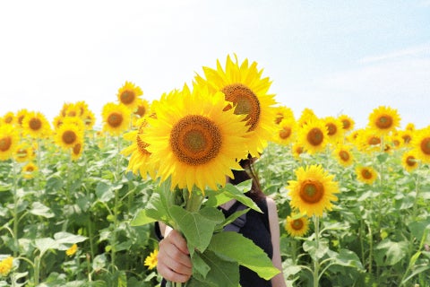 被災者の証言