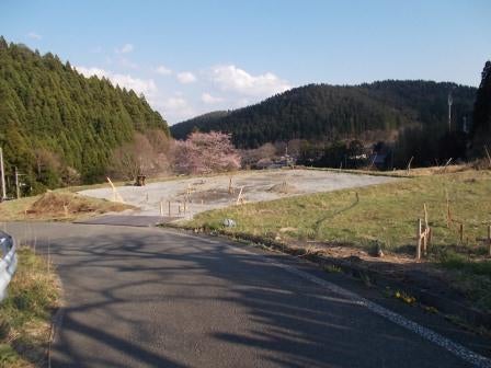 20130419_I008.JPG