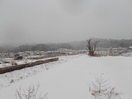 20130213_I016.JPG