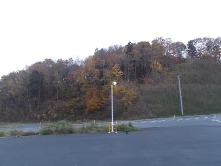 20121119_I017.JPG