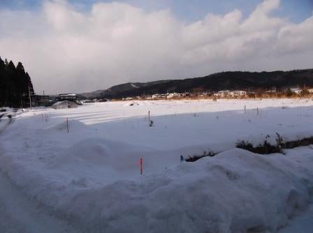 20130219_I019.JPG