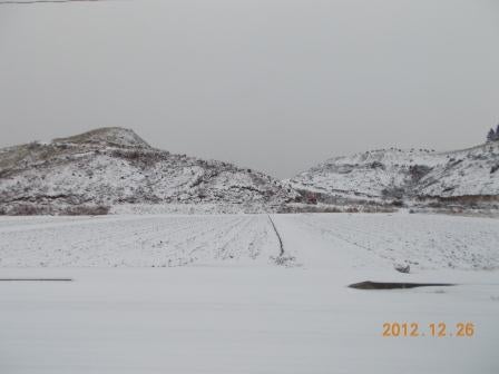 20121226_I020.JPG