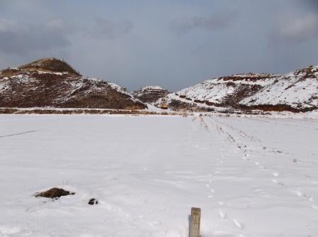 20130219_I020.JPG