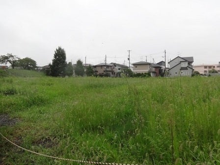デジタルアーカイブ:113_20150826_F113.JPG