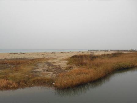 デジタルアーカイブ:20121201_F009.jpg