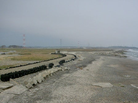 デジタルアーカイブ:20130515_F003.jpg