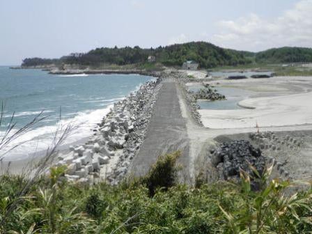 デジタルアーカイブ:20130525_F012.jpg