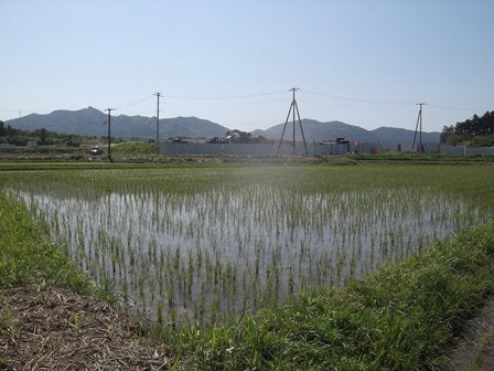 デジタルアーカイブ:20130601_F008.jpg
