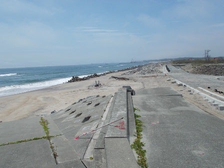 デジタルアーカイブ:20130614_F001.jpg