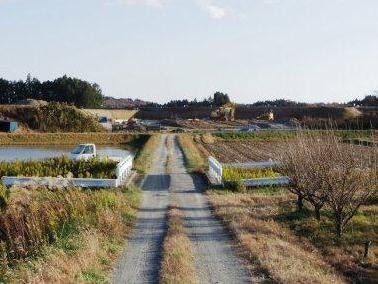デジタルアーカイブ:20131126_F007.jpg