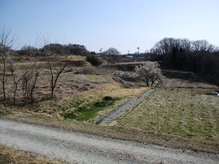 デジタルアーカイブ:20140415_F067.jpg