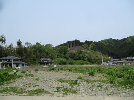 デジタルアーカイブ:197_20160519_I197_2.JPG
