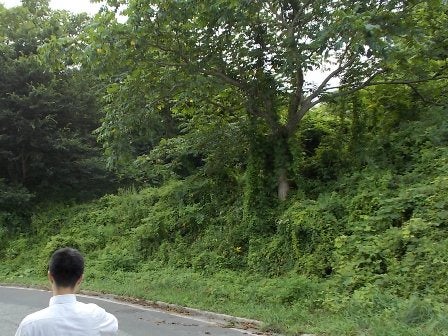 デジタルアーカイブ:20120808_I050.jpg
