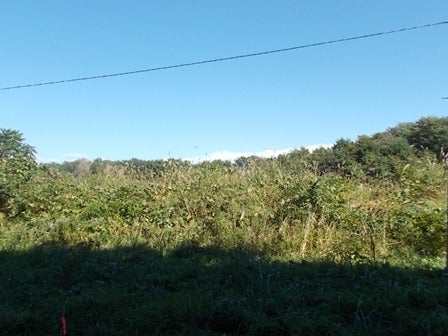 デジタルアーカイブ:20121005_I048.jpg