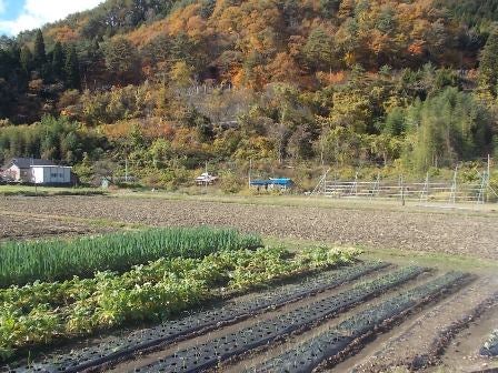デジタルアーカイブ:20121114_I049.jpg
