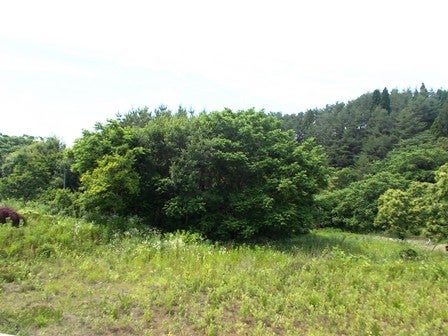 デジタルアーカイブ:20130704_I086.jpg