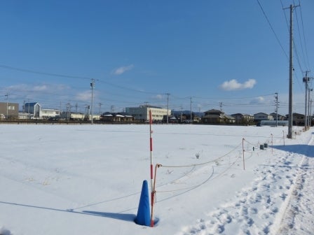 116_20180129_M116_2.jpg