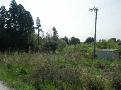 デジタルアーカイブ:123_20150520_M123.jpg