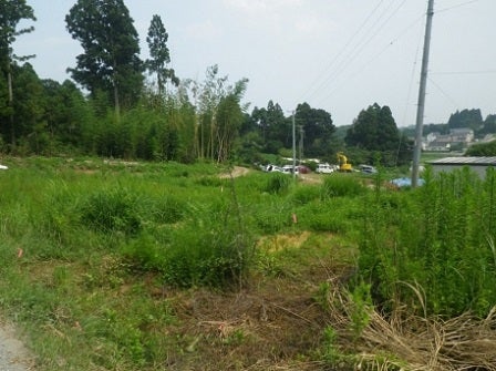 デジタルアーカイブ:123_20150815_M123.jpg