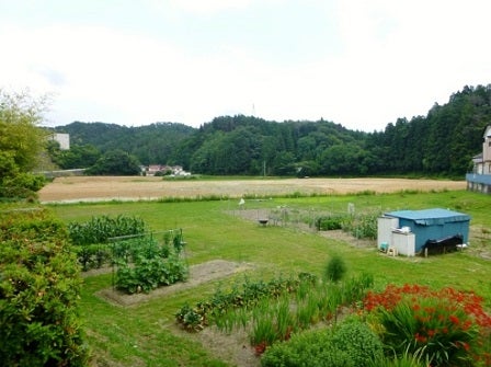 デジタルアーカイブ:126_20150715_M126.jpg