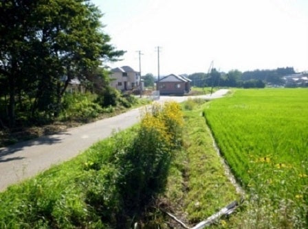 デジタルアーカイブ:130_20150815_M130.jpg