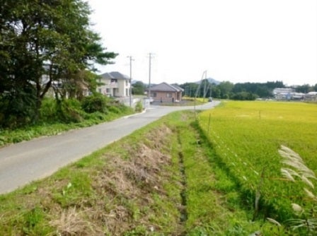 デジタルアーカイブ:130_20150916_M130.jpg