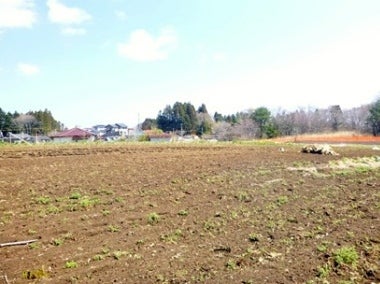 デジタルアーカイブ:133_20150422_M133.jpg