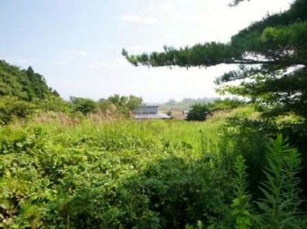 デジタルアーカイブ:134_20150902_M134_2.jpg