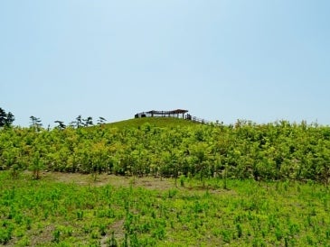 デジタルアーカイブ:1_20150624_M001_1.jpg