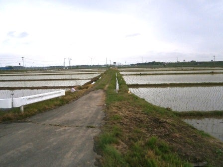 デジタルアーカイブ:20120501_M109.jpg