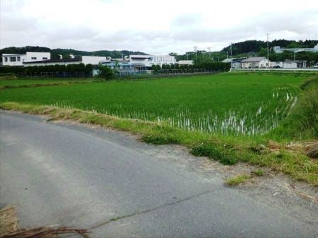 デジタルアーカイブ:20120613_M213.jpg