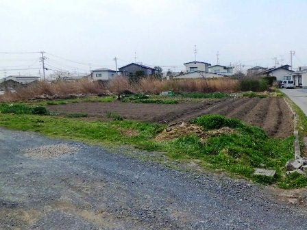 デジタルアーカイブ:20130417_M169.jpg