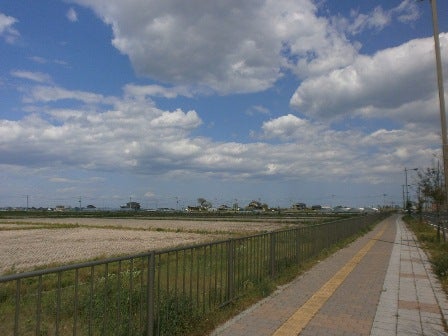 デジタルアーカイブ:20130501_M068.jpg