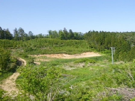 デジタルアーカイブ:20130604_M031.jpg