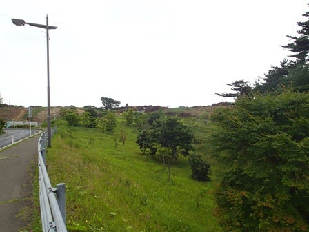 デジタルアーカイブ:20130717_M024.jpg