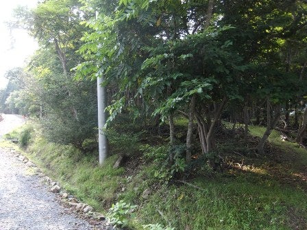 デジタルアーカイブ:20130807_M015.jpg