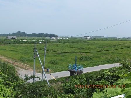 デジタルアーカイブ:20130813_M069.jpg