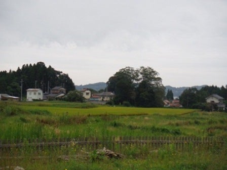 デジタルアーカイブ:20130901_M029.jpg