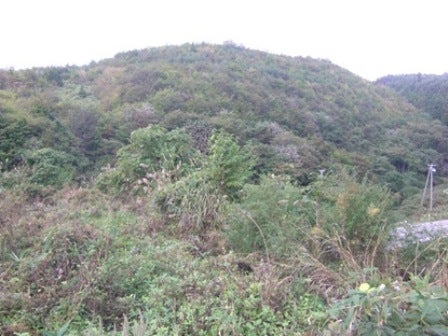デジタルアーカイブ:20131001_M072.jpg