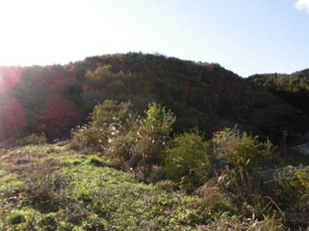 デジタルアーカイブ:20131119_M072.jpg