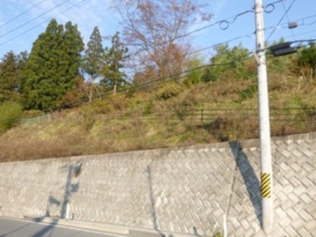 デジタルアーカイブ:20131119_M075.jpg