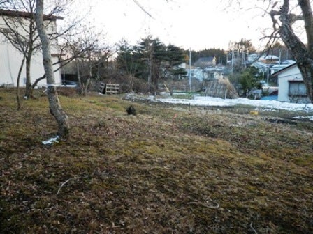 デジタルアーカイブ:20140116_M138.jpg