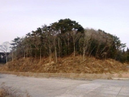 デジタルアーカイブ:20140201_M081.jpg