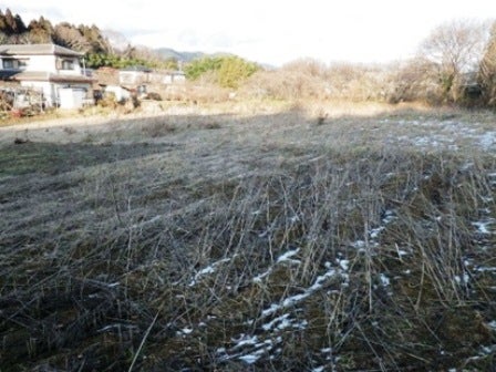 デジタルアーカイブ:20140201_M122.jpg