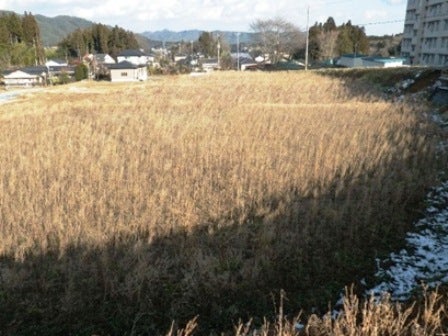デジタルアーカイブ:20140201_M128.jpg
