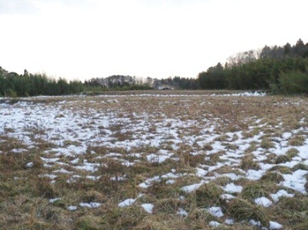 デジタルアーカイブ:20140201_M136_1.jpg