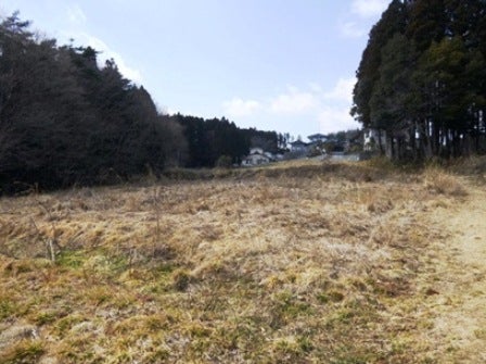 デジタルアーカイブ:20140324_M125.jpg