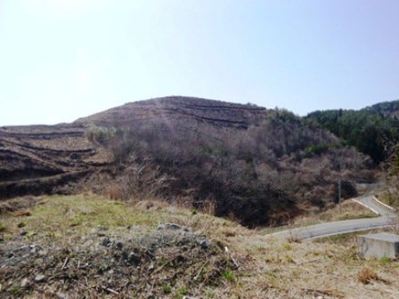 デジタルアーカイブ:20140418_M072.jpg