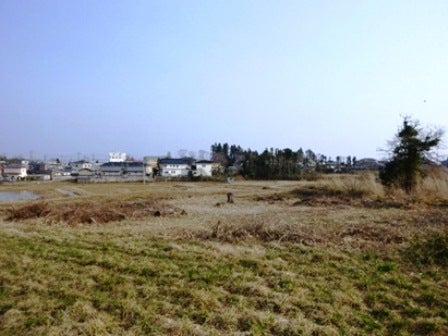 デジタルアーカイブ:20140418_M077.jpg